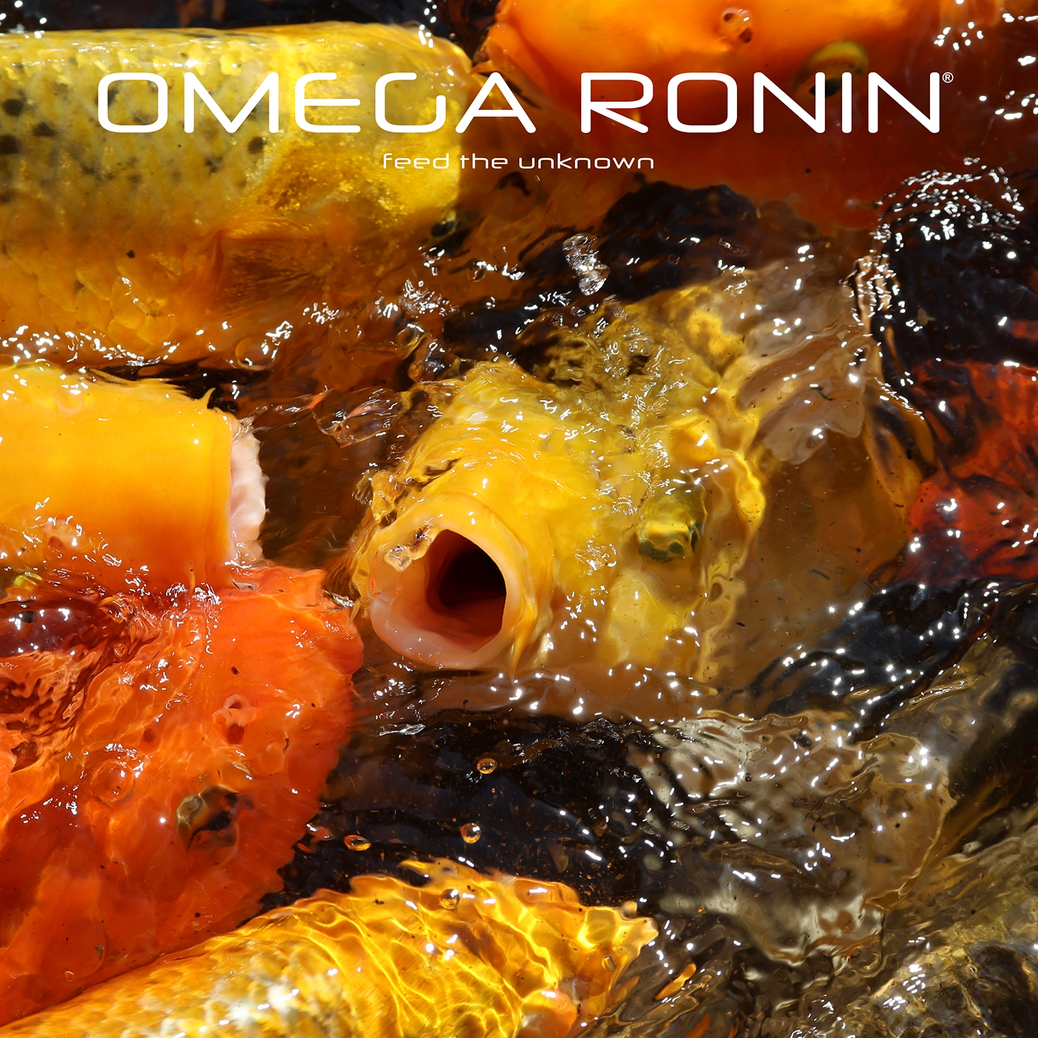 Omega Ronin: Feed the Unknown